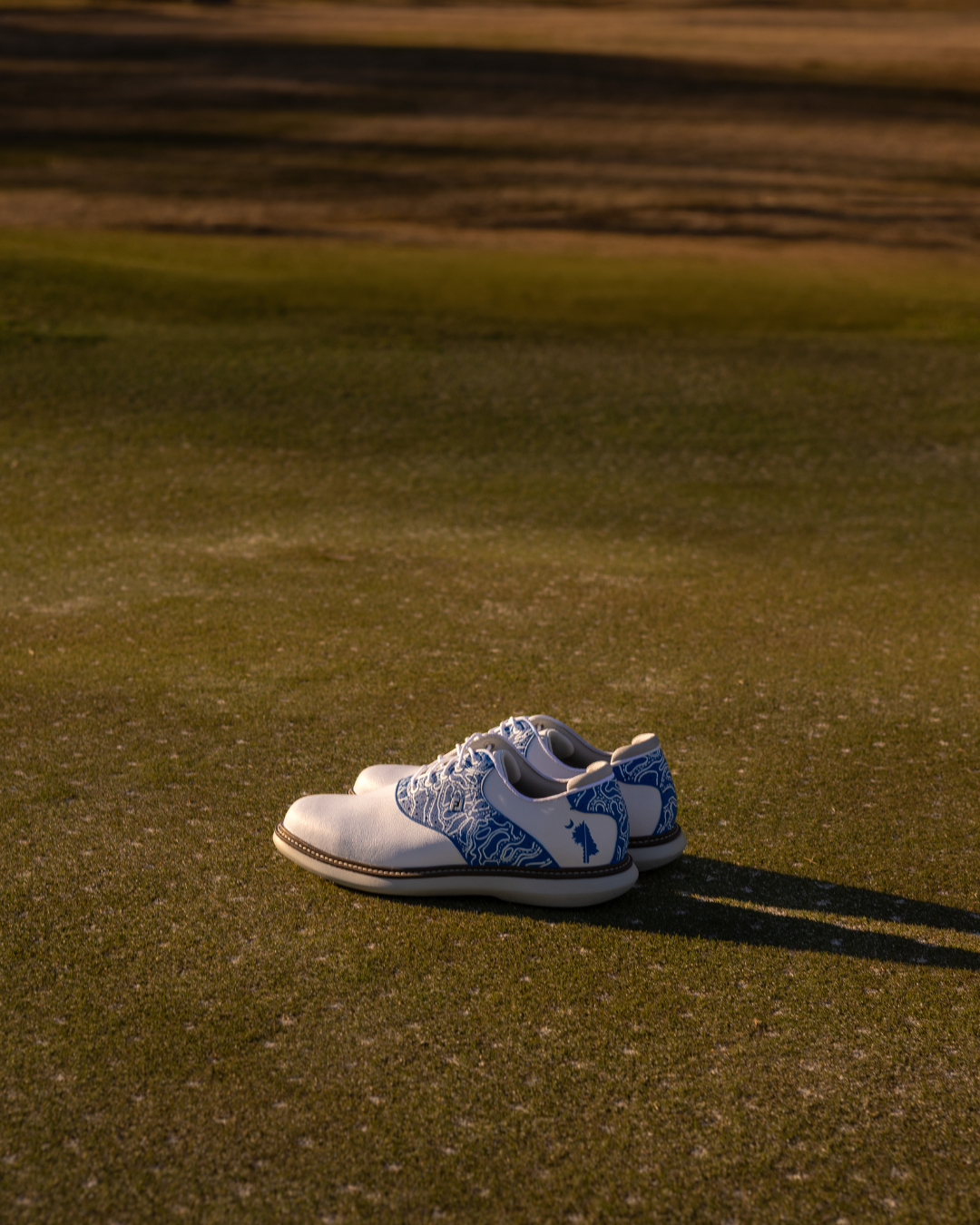 The Palmetto & Pine Traditions (Pre-Order)